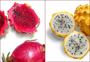 Fruto estranho q cresce o pênis e descoberto