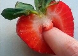 Fruto estranho q cresce o pênis e descoberto