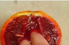 Fruto estranho q cresce o pênis e descoberto